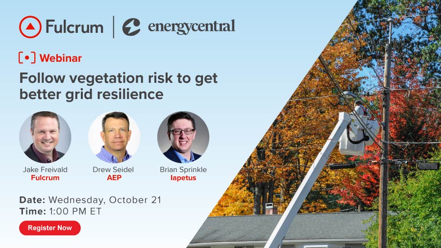 Energy Central Follow Vegetation Risk To Get Better Grid Resilience Featureregister