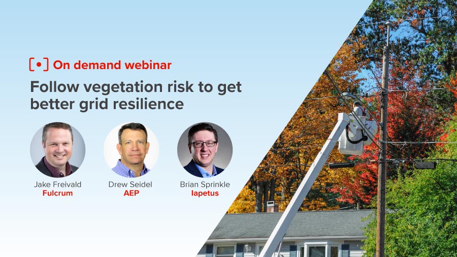 Energy Central Follow Vegetation Risk To Get Better Grid Resilience Featureondemand