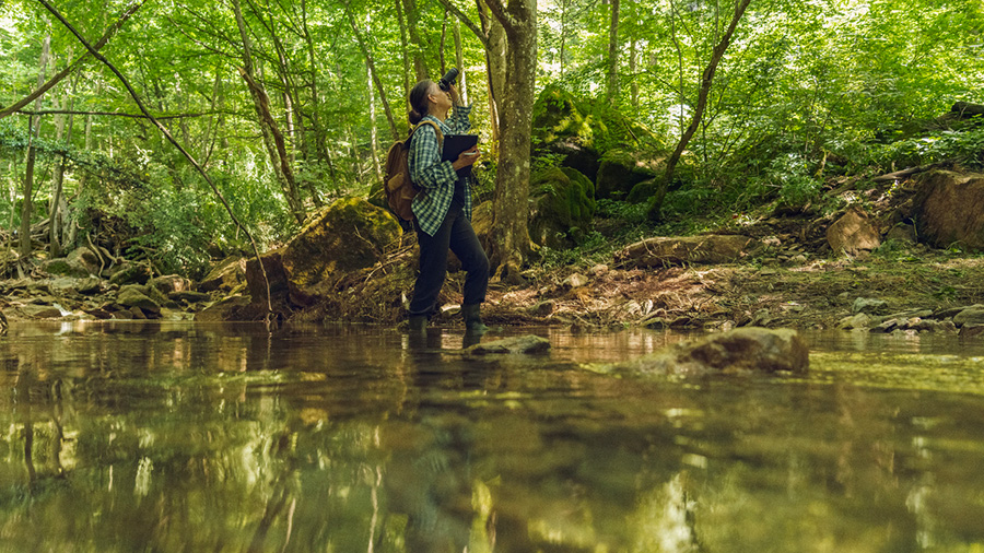 Forest Ecology Fieldwork The Field Record That Shows The Full Picture