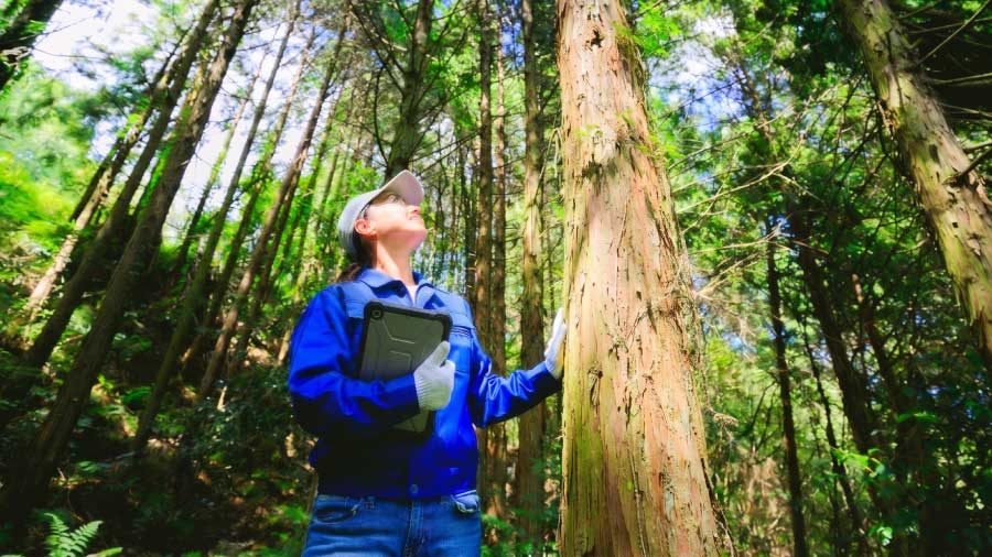 Forestry Environmental Scientists Performing Audit In The Field How Consultants Use Fulcrum To Prove Environmental Impact Blog